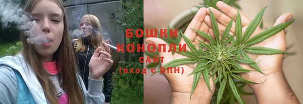 крисы Абдулино