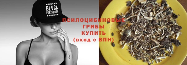 apvp Абаза