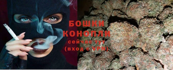 прущие грибы Абинск