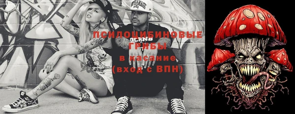 прущие грибы Абинск
