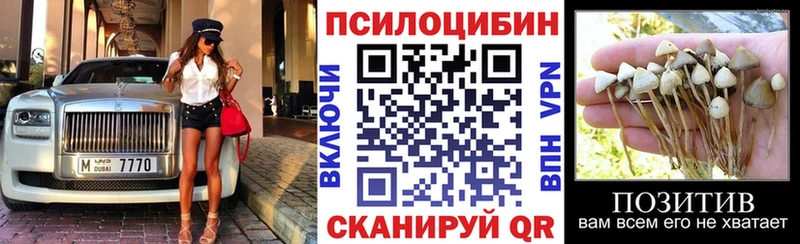 Псилоцибиновые грибы Cubensis купить наркотик Таганрог